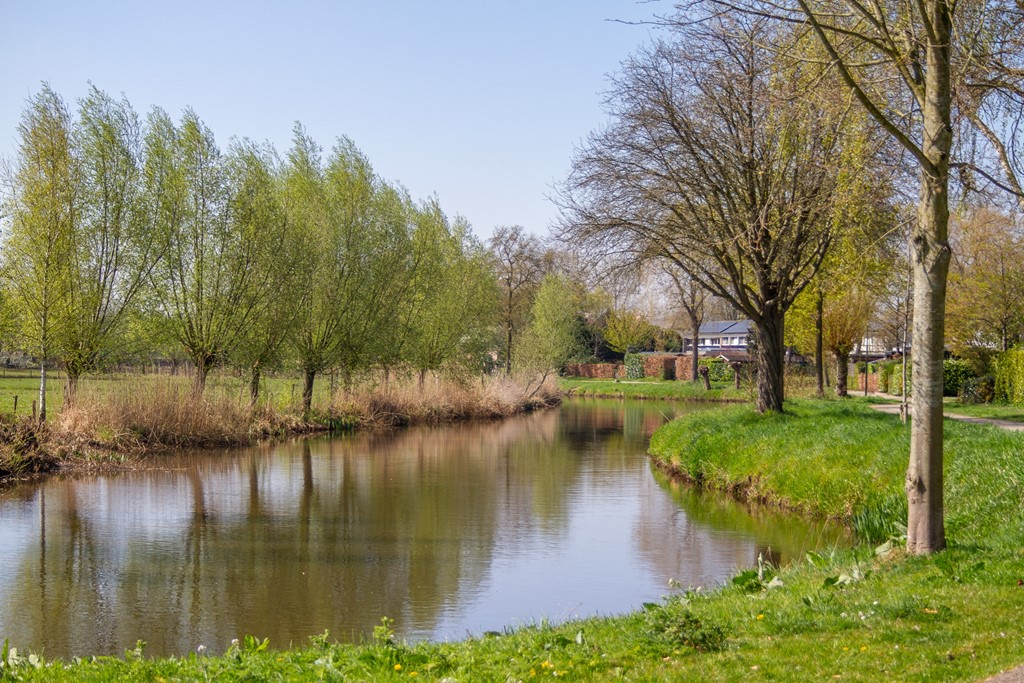 Dommeloord 54, Eline Makelaardij, foto 38.jpg